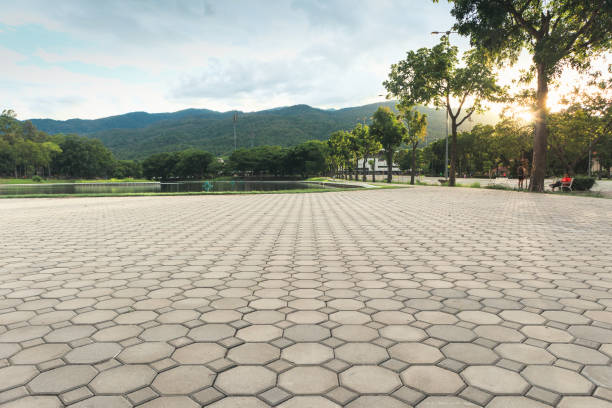 Reasons to Select Us for Your Driveway Paving Requirements in Williams, OR